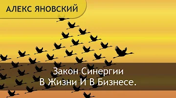 Синергия. Что Такое Синергия? Закон Синергии В Жизни И В Бизнесе.