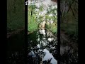 ام كلثوم أسأل روحك اسال قلبك كنت زمان بلاقيك بحناني بحر محبة وبر أمان ام كلثوم أسأل روحك اسال قلبك كنت زمان بلاقيك بحناني بحر محبة وبر أمان