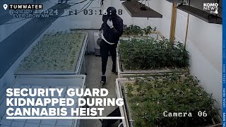 Security guard kidnapped during heist at Tumwater cannabis production facility by KOMO News 4,842 views 2 days ago 2 minutes, 7 seconds