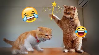 ❤ Funniest Cats and Dogs  Funny Animal Videos 2024 #17