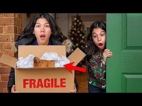 Look Who Showed Up AT Our DOORSTEP