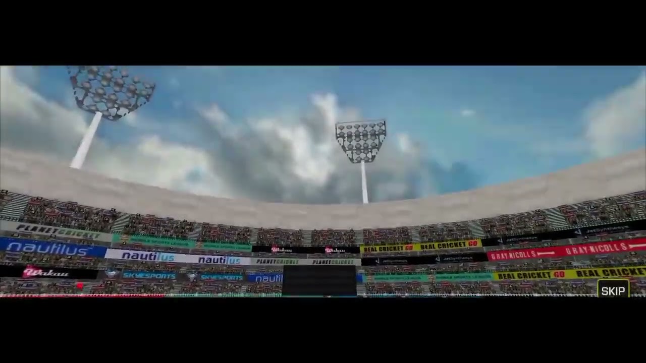 Cricket simulator 