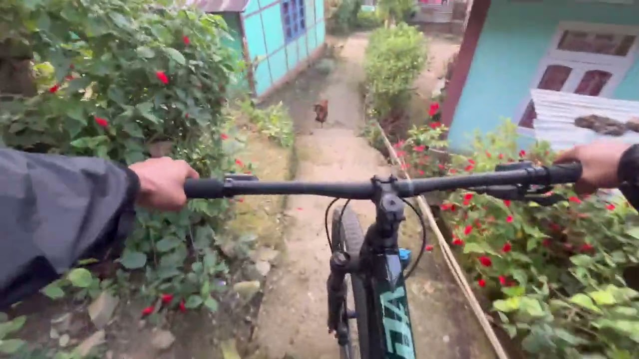 Village trail West Bengal