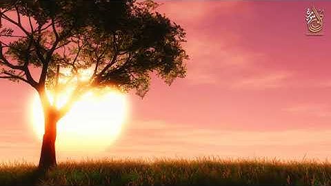 روائع التلاوات اجمل ما سوف تسمع اسلام صبحي ابراهيم الطيب عمر شلبي محمد المصري HD