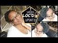 2 WEEK LOC UPDATE, INSECURITIES, HAIR CHANGES | MY LOC JOURNEY