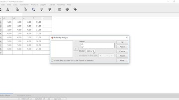 How to do Test Reliability using SPSS?