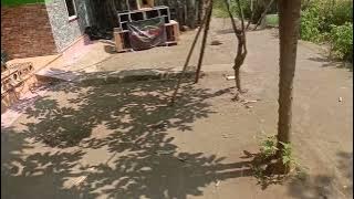 cek sound gita audio 12 in,glerr😁