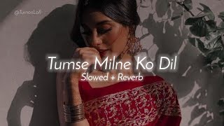 Tumse Milne Ko Dil Karta Hai - Slowed & Reverb | Kumar Sanu | Ajay Devgan | 90s Songs Lofi