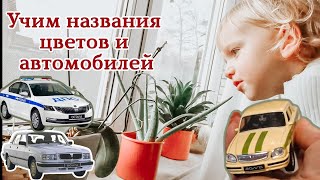 Учим название цветов и марки машин в 2 года/ убираю игрушки и новогодний декор