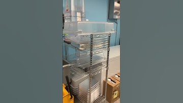 Fish and chips take out shop the making