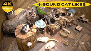 🔴 LIVE 24/7 CAT TV: Ultimate Mouse Hunting Challenge with Gerbils & Luxury Wooden House 🐾