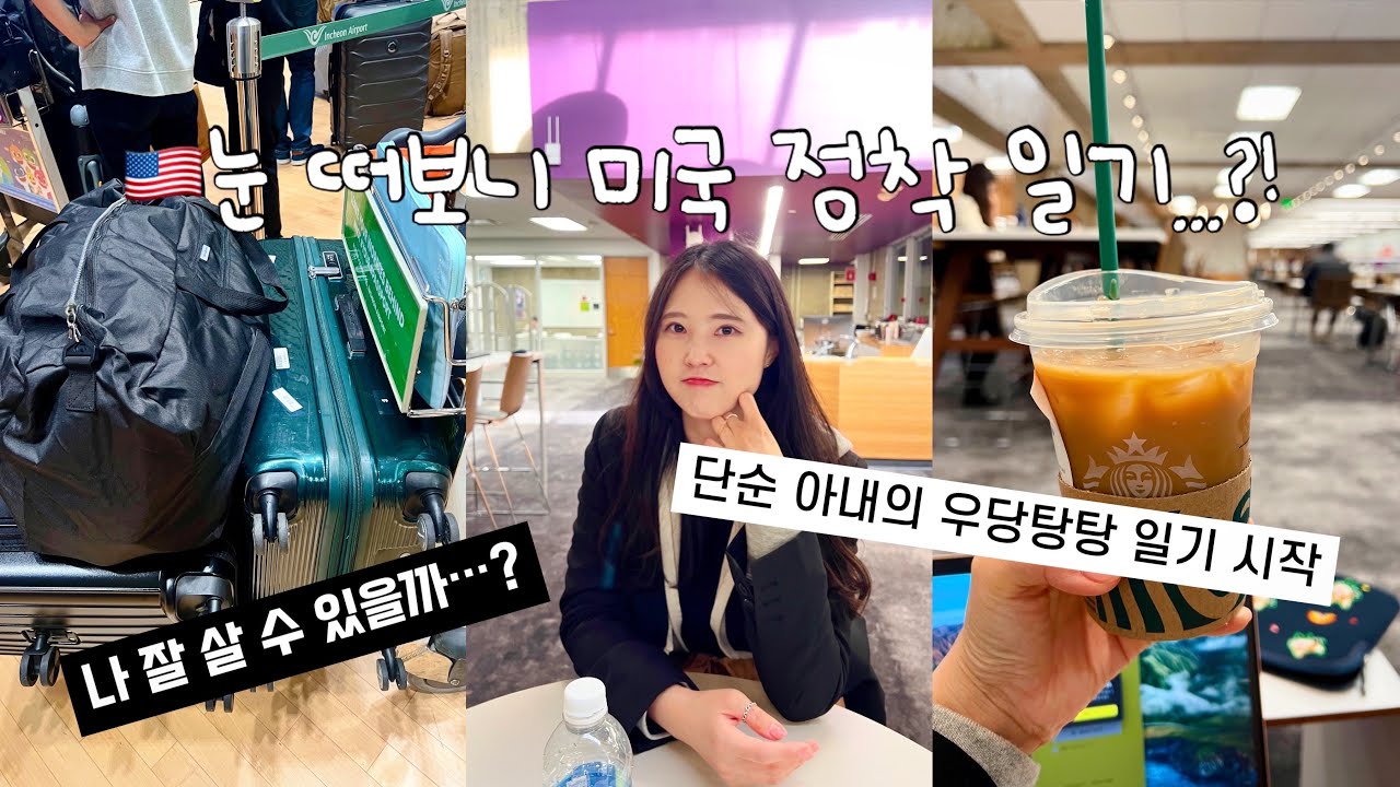 🇺🇸미국 일상 V-LOG | 신혼부부 브이로그 | 어쩌다 미국