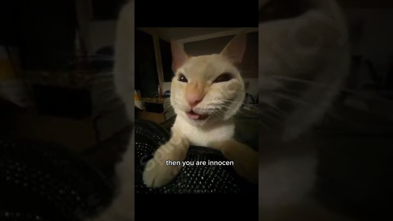 you are innocent 👼🏼 bec...