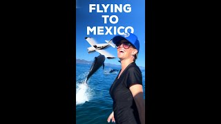 Flying a Private Plane to Mexico