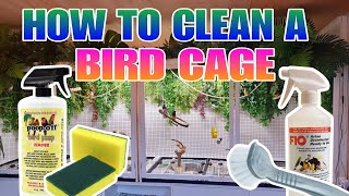 How to clean a bird cage