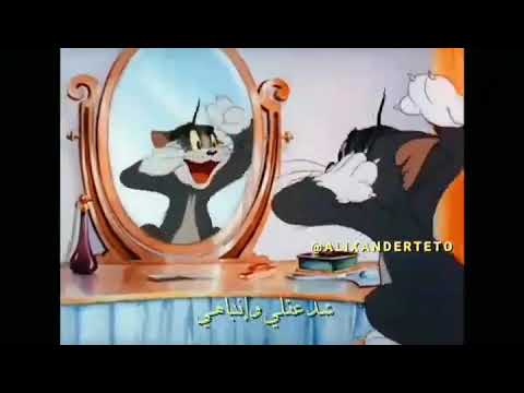 اغنيه طب حبه حبه قلبي شفها طب طبه فين حبايب اغاني تامر