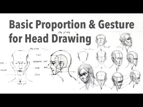 Basic Proportion and Gesture for Head Drawing