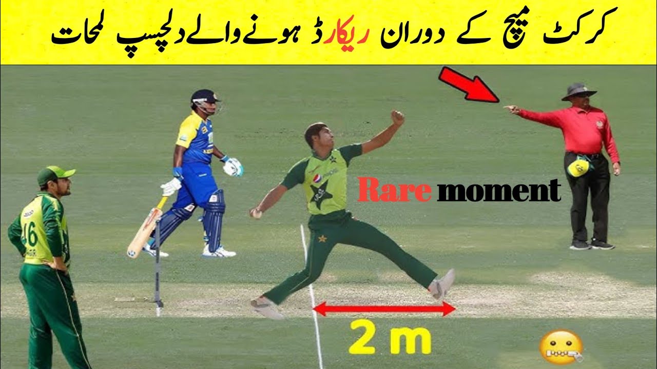 Top 10 Rare Moment In cricket History|| funny moments in cricket 2023 ...