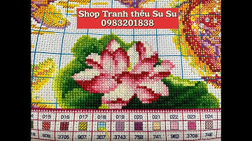Hướng dẫn thêu tranh chữ thập cho người mới bắt đầu