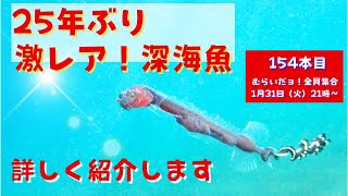 154本目 大瀬崎でヤバすぎる深海魚に出逢っちゃいました〜〜〜！！！僕自身も人生で初めてです！！その貴重な映像をお届けします！！伊豆の最新海情報もお話しまーす。むらいだョ！全員集合