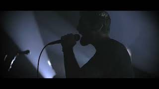 feedtherightwolf  - Spin Cycle (Official Music Video)