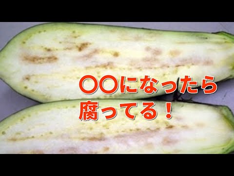 ナスが腐っているかどうかを見分ける方法がこちら！