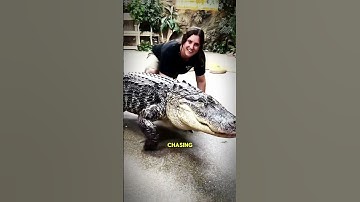 Decoding Your Wildest Dreams 💭 #shorts #symbolism #alligator #dream