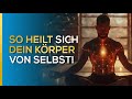 Chronische schmerzen loswerden so heilt sich dein krper von selbst  freimuth gorter