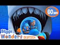 Die Haizähne | Blippi Deutsch | Abenteuer und Videos für Kinder