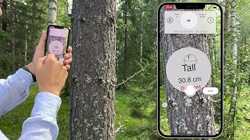 Advanced Tutorial - Arboreal Forest