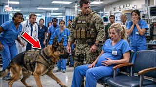 “Can I Sit Here” a Navy SEAL Asked a Pregnant Nurse — Then His K9 Stopped the Whole Room News