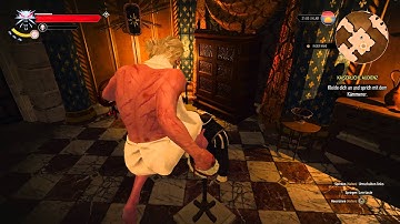 Witcher 3 - Funny Bugs & Glitches