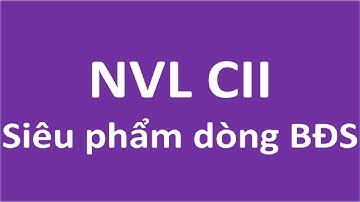 Phân tích NVL CII. Siêu phẩm đáng để đầu tư