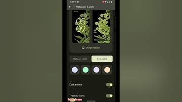 Pixel Experience UNOFFICIAL | Android 12.1 [L] | Devices A10, A20, A20e, A30, A40, Custom  Rom