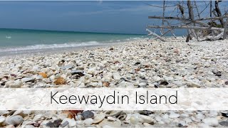 Florida Beach Walk 4k. Hunting Seashells on Keewaydin Island, Florida.