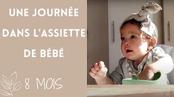 Quand commencer les repas du soir pour bébé ?