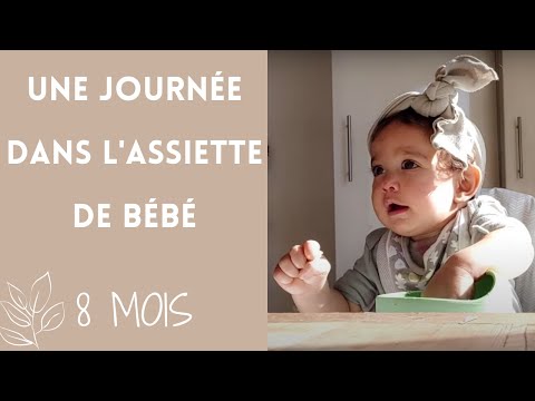 Vidéo: Menu Bébé 8 Mois