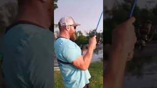 BIG Bass SMASHES live bait ( Bobber fishing ) #Shorts