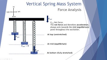 Vertical Mass Spring System