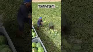 Hispanics working hard in the USA 🇺🇸