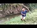 Cat fishes and Chitala fish Hunting by Fisherman|Best Single Hook fishing in Village pond