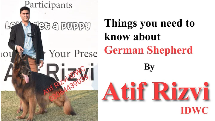 Things you need to know about German Shepherd dogs...