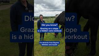 How to Improve Horse Core Strength with In-Hand Grazing | Equine Physio