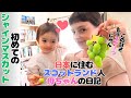 スコットランド人母ちゃんと娘、初めて日本のシャインマスカットを食べてみたらその甘さに驚愕、もうキャンディのような甘さ / tried Japanese expensive grapes 【国際結婚】