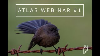 NZ Bird Atlas Webinar #1 -  Introduction to the Atlas & eBird App
