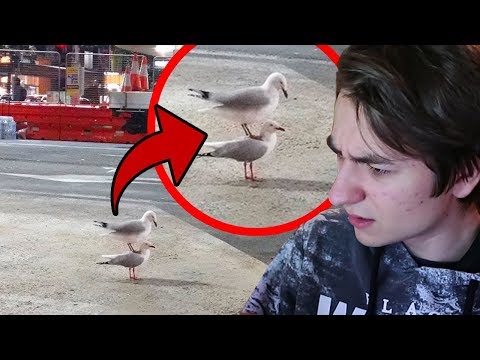 Thumbnail for Le Coincidenze più DIVERTENTI (e assurde) che ti STUPIRANNO!