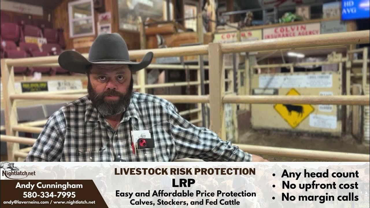 10/18/2023 Cattle Market Report Beaver County Stockyards YouTube