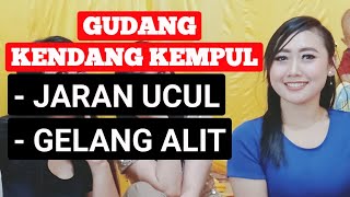 KENDANG KEMPUL - JARAN UCUL , GELANG ALIT || COVER - LIVE || RINA ADJA