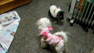 DSCF1119.AVI