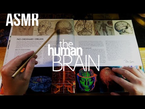 The Human Brain (part 1): A Brief History | ASMR whisper [science, history]
